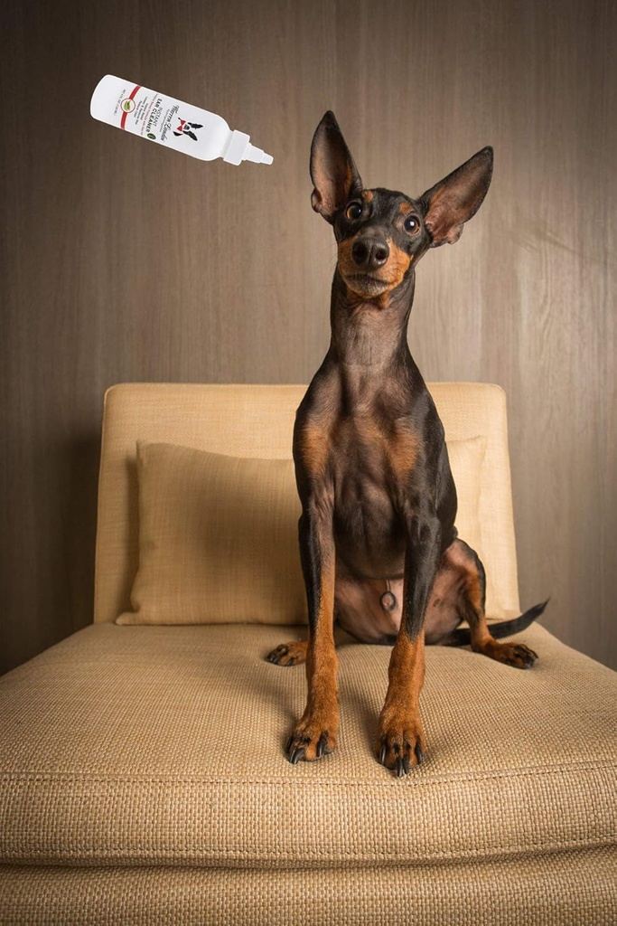 warren-london-instant-ear-cleaner--dog-e-5.jpg