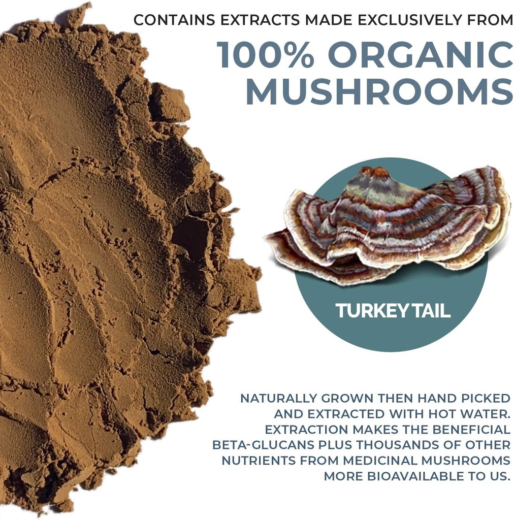 real-mushrooms-realboost-60ct-lions-mane-5.jpg