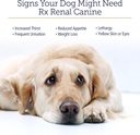 rx-vitamins-rx-renal-canine-kidney-suppo-3.jpg