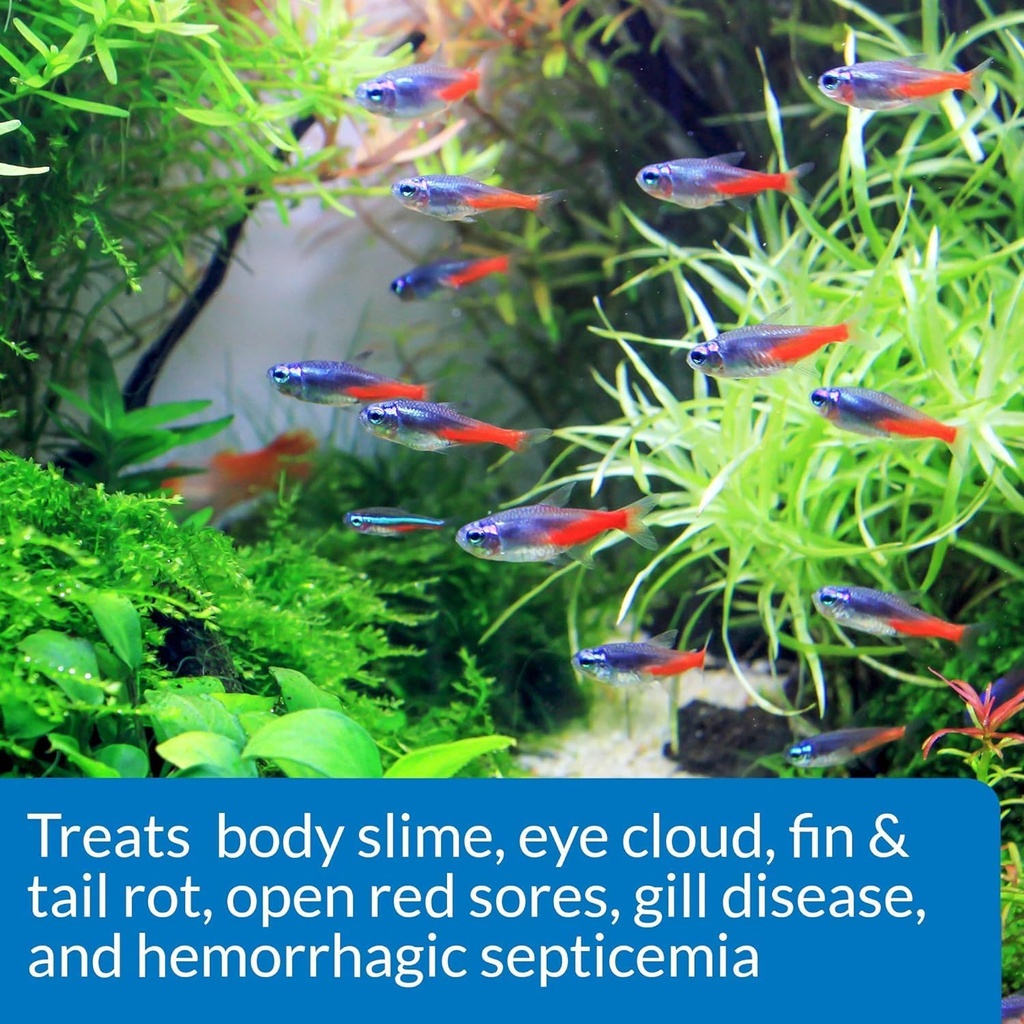 api-2-pack-of-fin-and-body-cure-freshwat-5.jpg