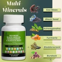 sea-moss-capsules---60-capsules-seamoss--2.jpg