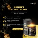 generic-beepwell-shilajit-resin-pure-org-5.jpg