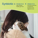 nephrodyl-synbiotic-capsules---kidney-su-3.jpg