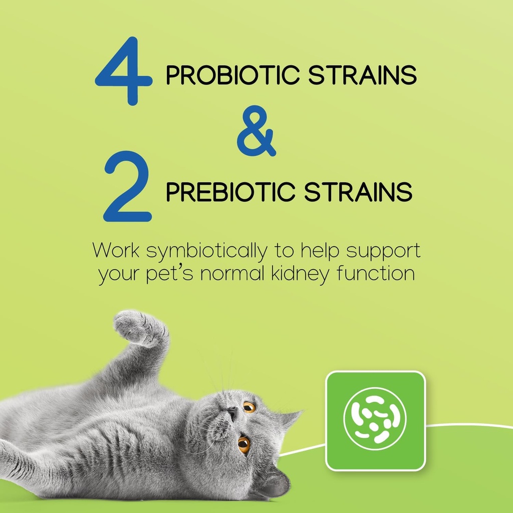 nephrodyl-synbiotic-capsules---kidney-su-4.jpg
