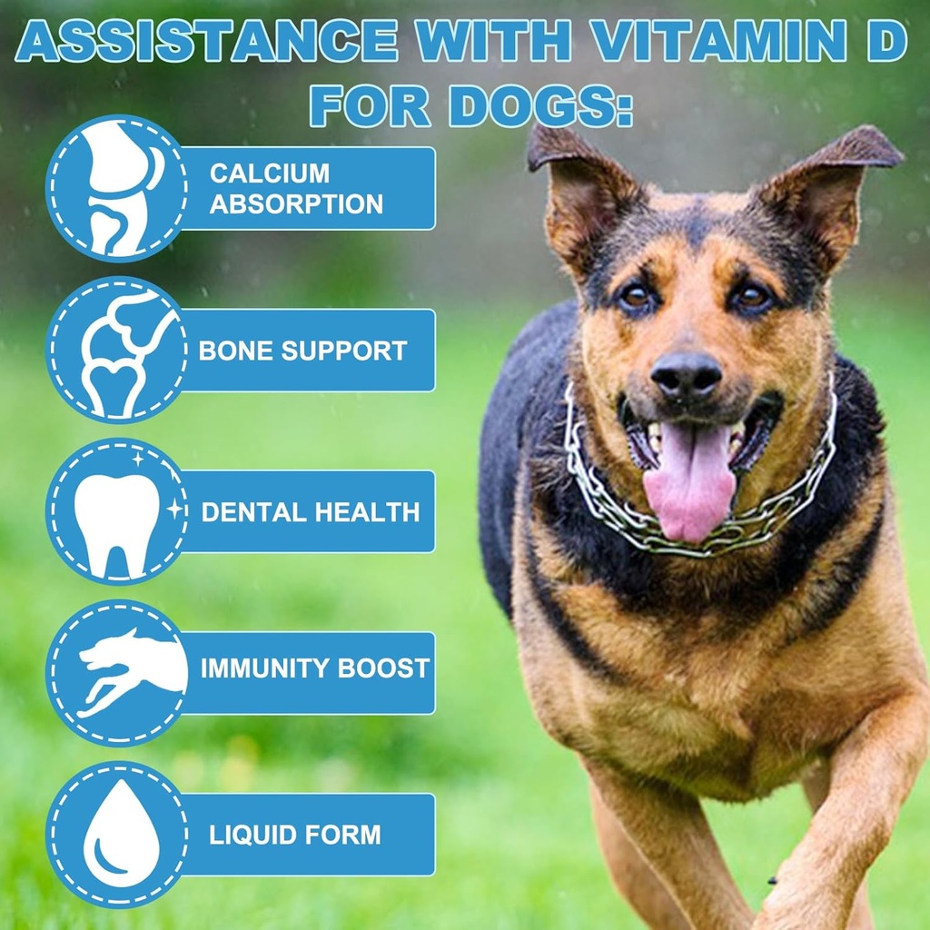 vitamin-d-for-dogs-liquid-d-for-dogs-dog-4.jpg