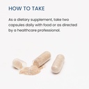 the-wellness-company-digestive-comfort-1-6.jpg