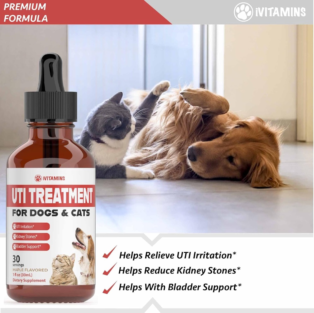 cat-dog-uti-treatment---uti-medicine-for-5.jpg