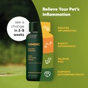 rooted-owl-turmeric---turmeric-supplemen-2.jpg