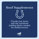 smartequine-laminox-powder-hoof-support--4.jpg