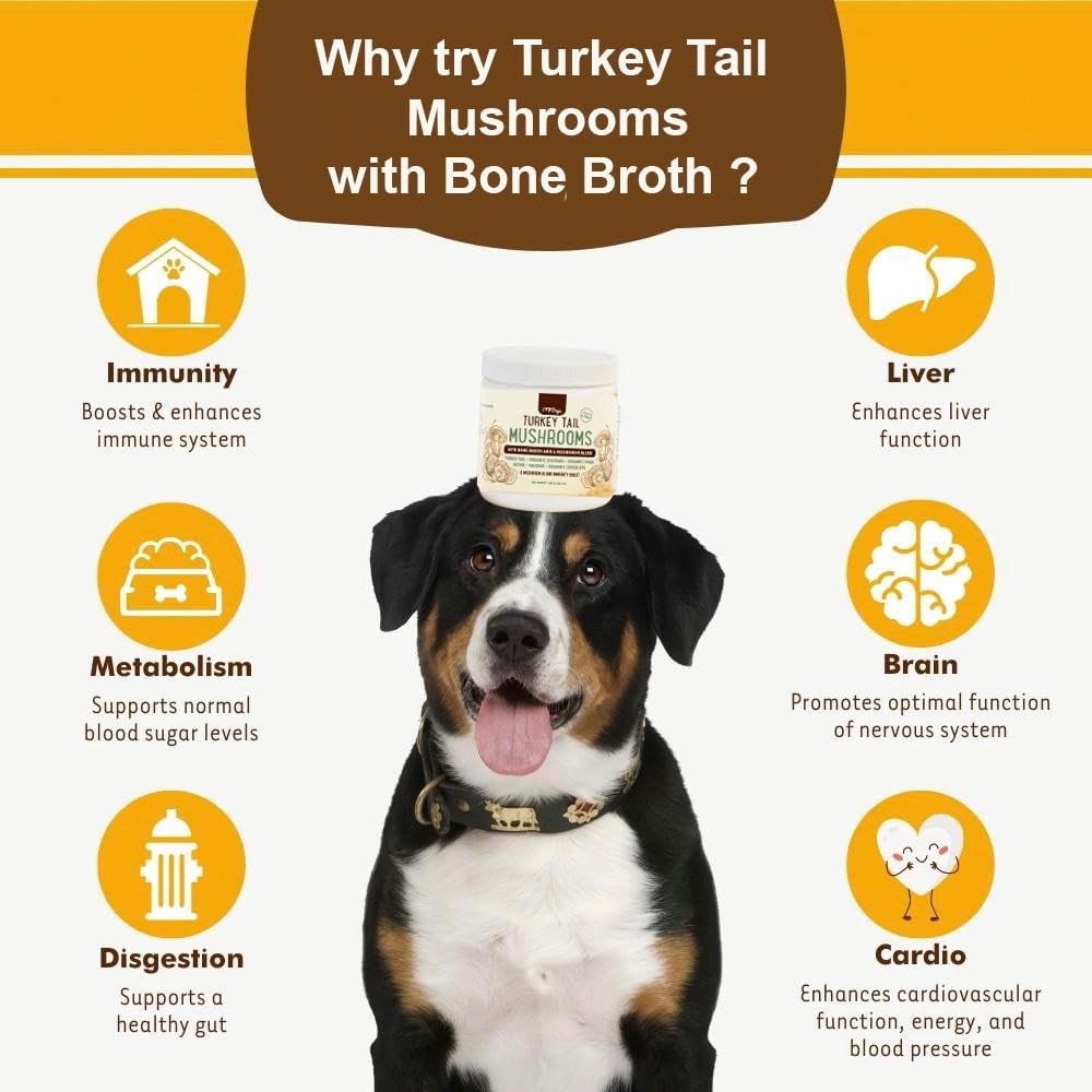 iheartdogs-turkey-tail-mushroom-for-dogs-6.jpg