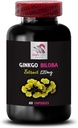 ginkgo-biloba-supplement---ginkgo-biloba-2.jpg