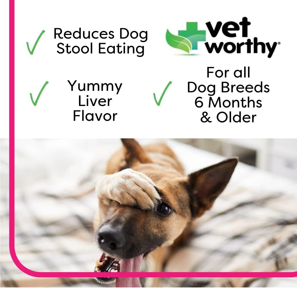 vet-worthy-stop-stool-ingestion--coproph-2.jpg
