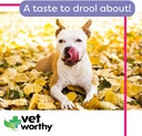 vet-worthy-stop-stool-ingestion--coproph-4.jpg