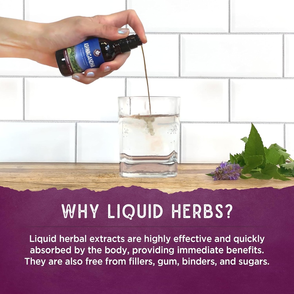 wishgarden-herbs-genius-juice---liquid-h-5.jpg