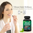 shilajit-pure-himalayan-9000mg-ashwagand-5.jpg