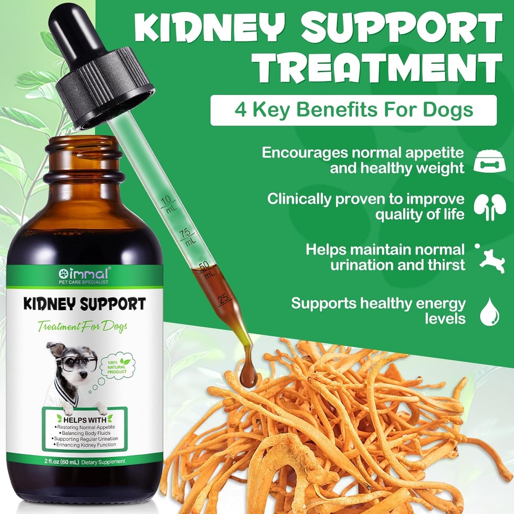 pet-kidney-support-for-dogs-veterinarian-2.jpg