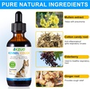dog-cough-treatment---kennel-cough-drops-3.jpg