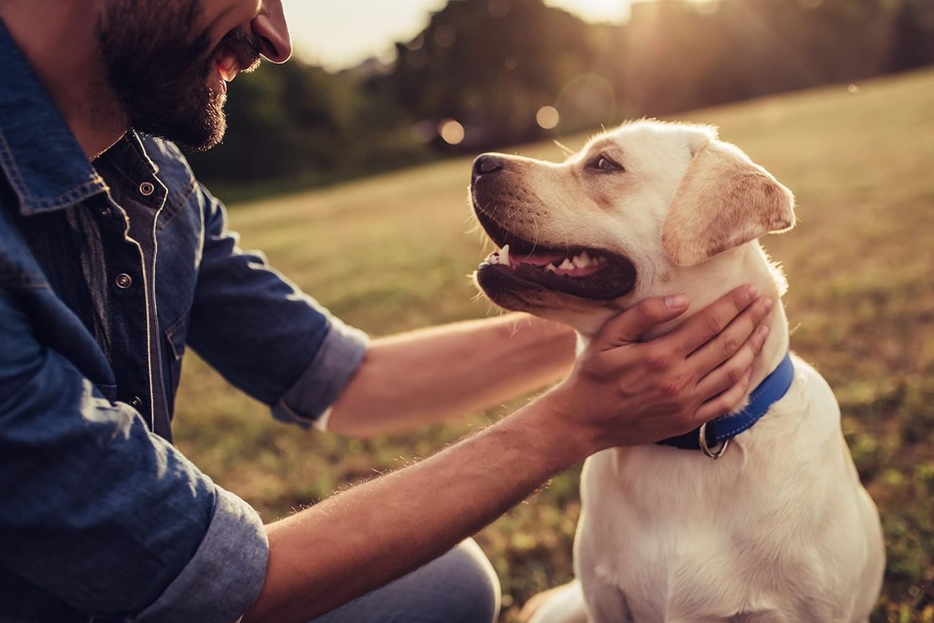 aloha-medicinals-k9-immunity-plus-immune-6.jpg