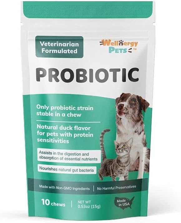 wellnergy-daily-probiotic-prebiotics-sof-2.jpg