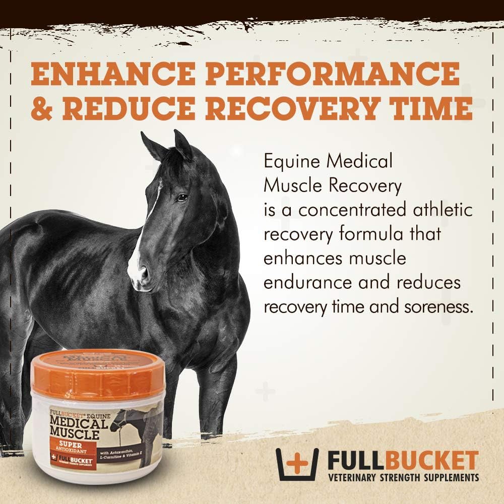 fullbucket-equine-medical-muscle-recover-2.jpg