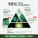 nicotinamide-riboside-complex-cellular-e-5.jpg