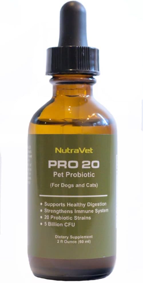 probiotics-for-dogs-and-cat-probiotics---2.jpg