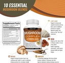 toplux-mushroom-supplement-lions-mane-co-4.jpg
