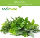 naturalma-gymnema-gymnema-sylvestre-or-m-4.jpg
