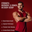 bolt-whey-protein-powder-with-superfood--5.jpg