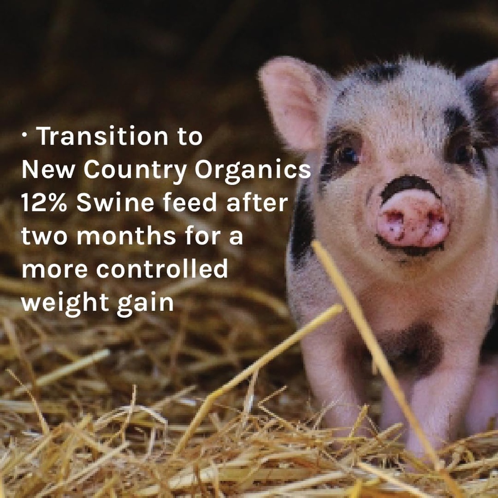 new-country-organics-swine-16-protein-fe-4.jpg