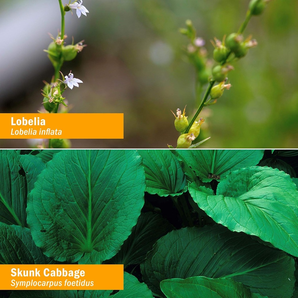 herb-pharm-muscle-calmer-liquid-herbal-f-2.jpg