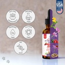 dog-uti-treatment-urinary-tract-infectio-2.jpg