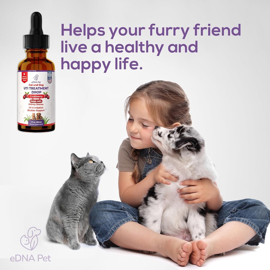 dog-uti-treatment-urinary-tract-infectio-6.jpg