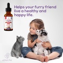 dog-uti-treatment-urinary-tract-infectio-6.jpg