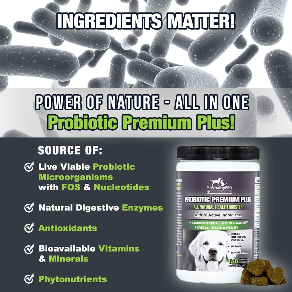 probiotics-for-dogs-with-natural-digesti-2.jpg