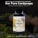 aloha-medicinals-pure-cordyceps-certifie-3.jpg