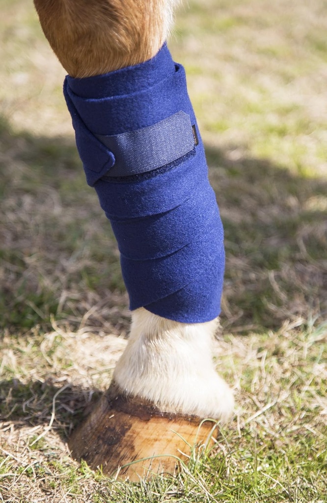 intrepid-international-polo-wraps-for-ho-2.jpg