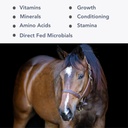 mega-cell-35lb-balanced-vitamin-mineral--2.jpg