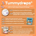 tummydrops-groovy-peppermint-pack-mix-of-4.jpg