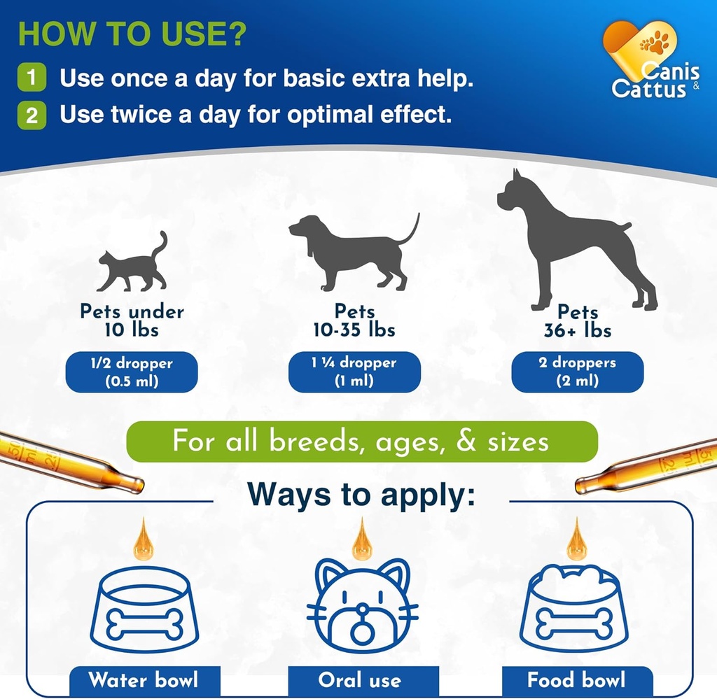 kennel-cough-treatment-for-dogs-cats-hel-4.jpg