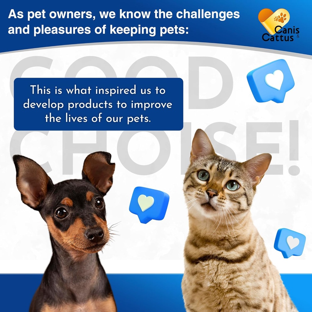 kennel-cough-treatment-for-dogs-cats-hel-6.jpg
