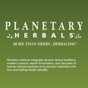 planetary-herbals-100-cultivated-echinac-4.jpg
