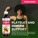 papaya-leaf-blood-support-liquid---15x-s-3.jpg