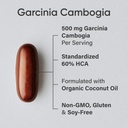 sports-research-garcinia-cambogia-extrac-2.jpg