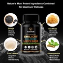 shilajit-sea-moss-lions-mane-and-ashwaga-2.jpg