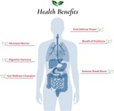 foods-for-gut-vital-formula-12-strain-pr-3.jpg