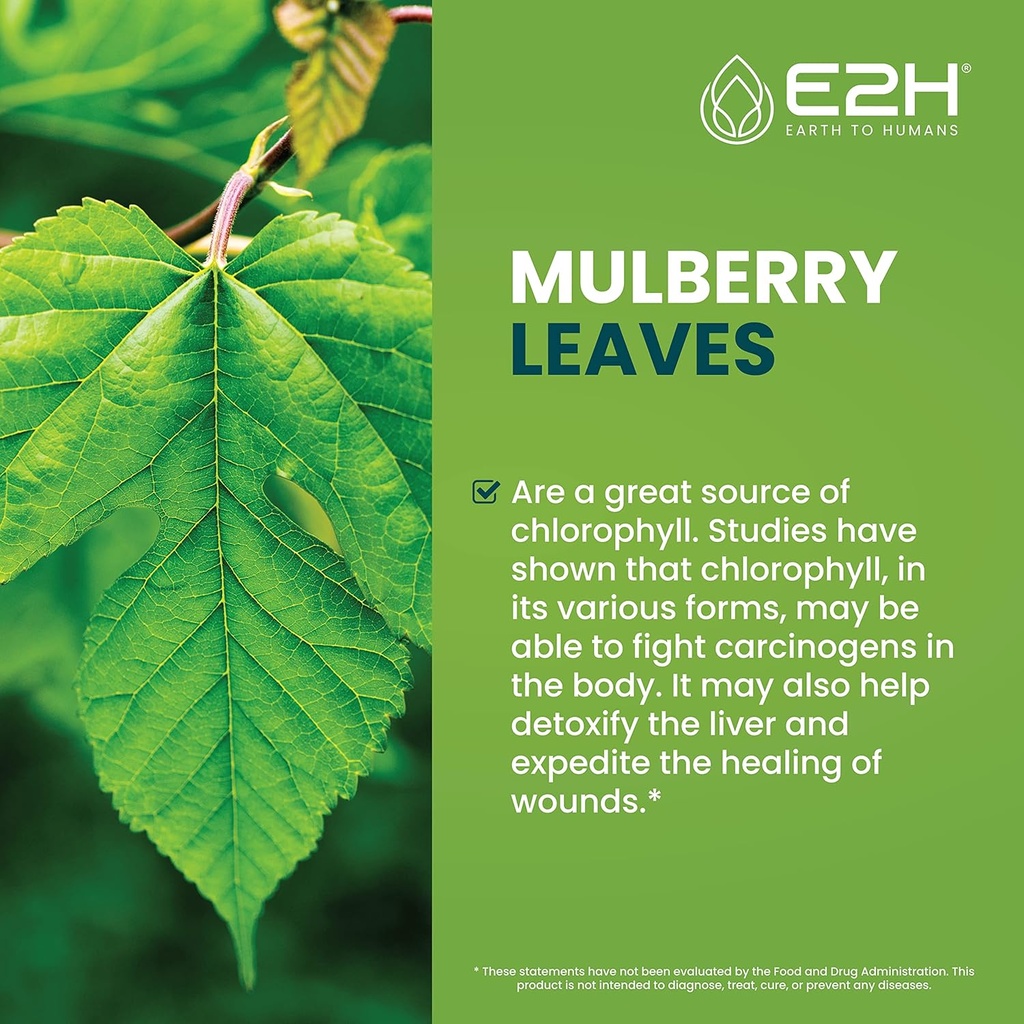 e2h-liquid-chlorophyll-and-liquid-turmer-4.jpg