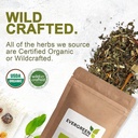 evergreen-herbs-pinguica-fruto---uva-urs-4.jpg