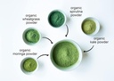 food-to-live-organic-supergreens-powder--6.jpg