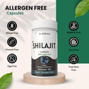 shilajit-capsules-500mg-20-extract-purif-6.jpg